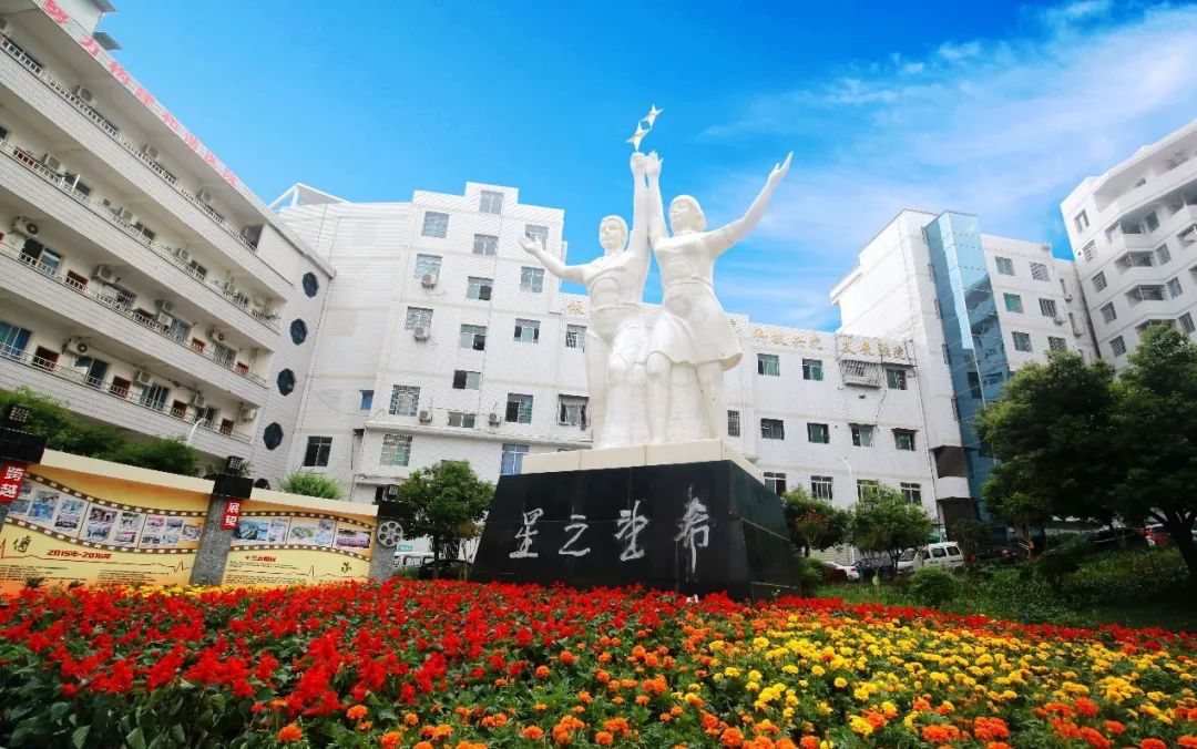招聘 ▎西充县人民医院2019年公开招考规范化培训导医学员